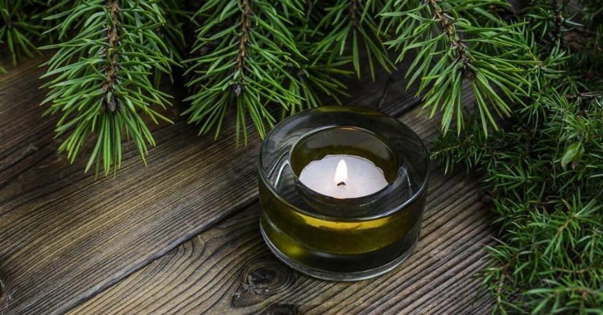 A single candle sitting under a tree